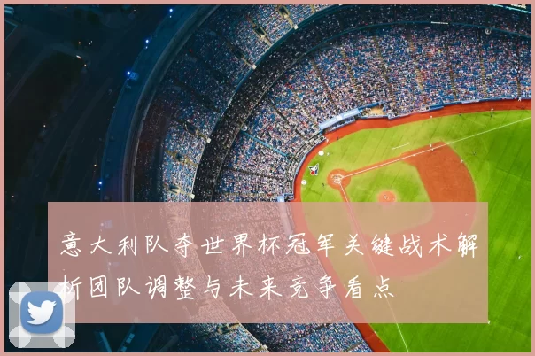 意大利队夺世界杯冠军关键战术解析团队调整与未来竞争看点