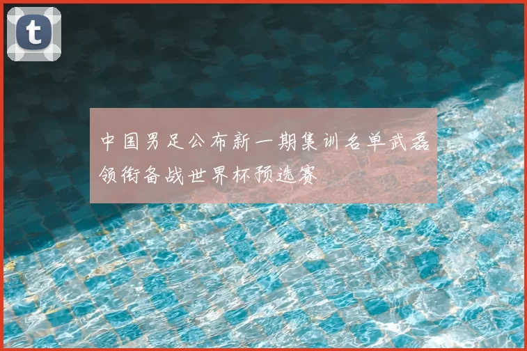 中国男足公布新一期集训名单武磊领衔备战世界杯预选赛
